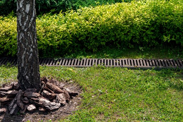 Drain Repair Service